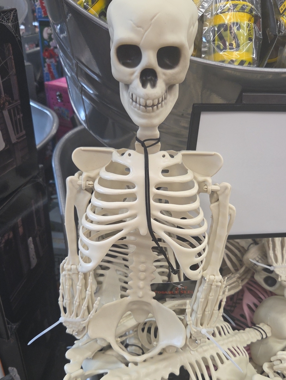Decorative Plastic Skeleton Figure in Off-White